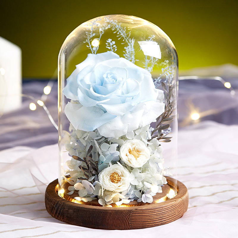 Timless Devotion - Preserved Rose Heart Keepsake, Eternal Floral Gift for Wedding, Anniversary